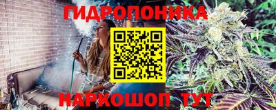 марихуана Заводоуковск