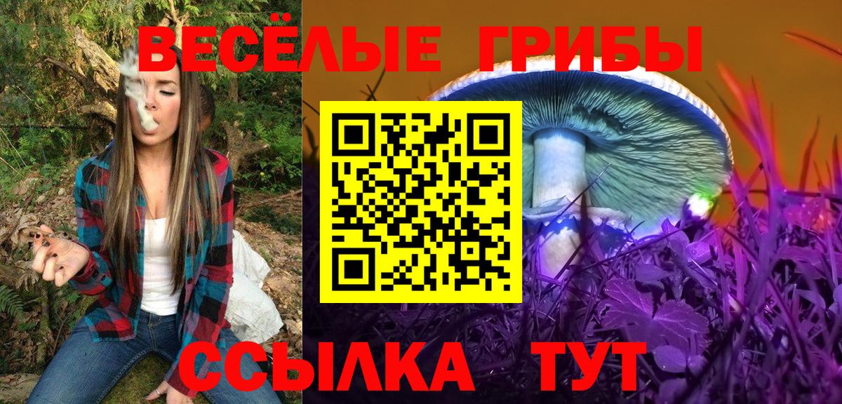 Галлюциногенные грибы Cubensis Лесосибирск